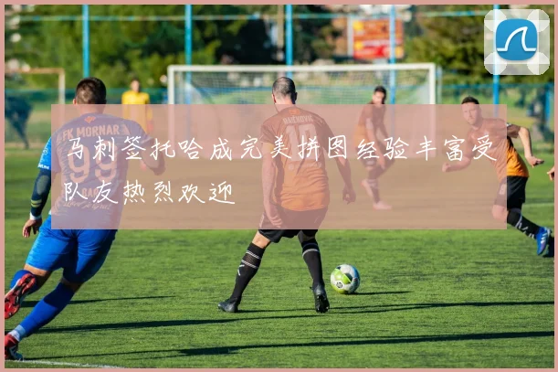 马刺签托哈成完美拼图经验丰富受队友热烈欢迎